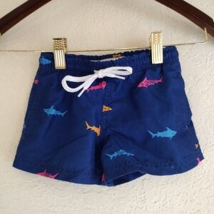 Maamgic Boys Shark Swim Trunks